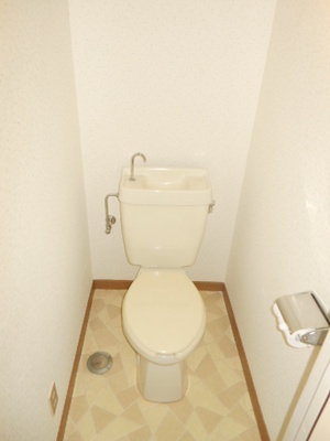 Toilet. Toilet