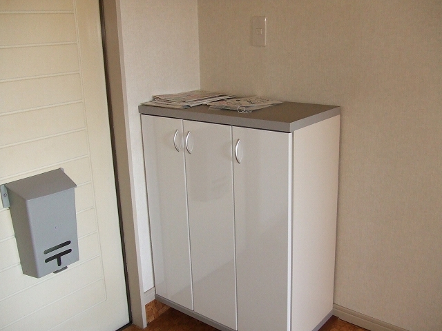 Entrance. Cupboard with the door