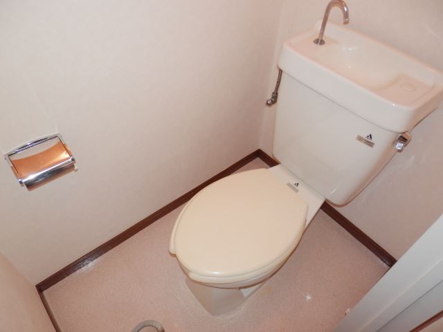 Toilet. Toilet