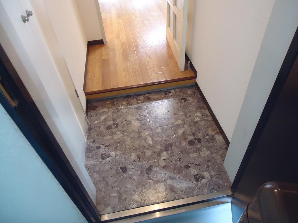 Entrance. Shoe box
