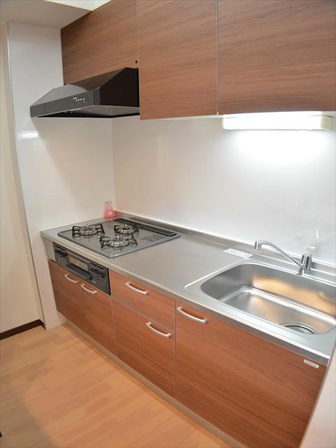 Kitchen. System kitchen