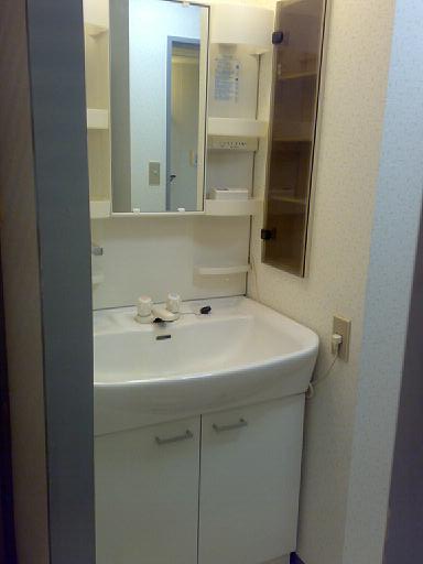 Washroom. Independent wash basin