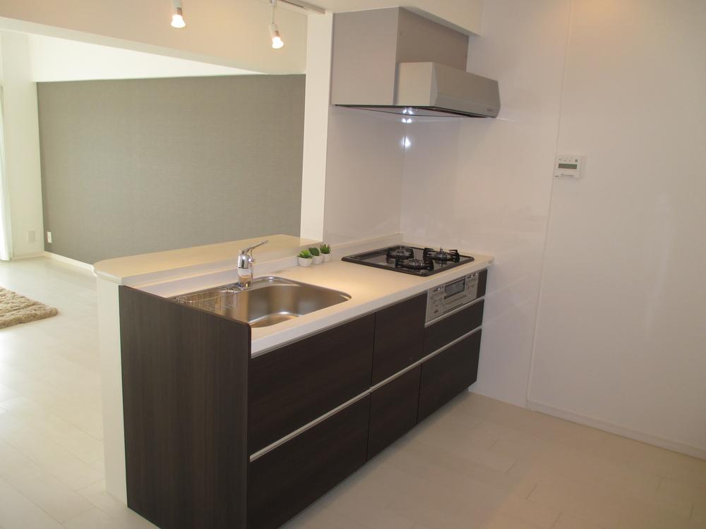 Kitchen. Indoor (12 May 2013) Shooting