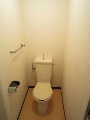 Toilet. Toilet