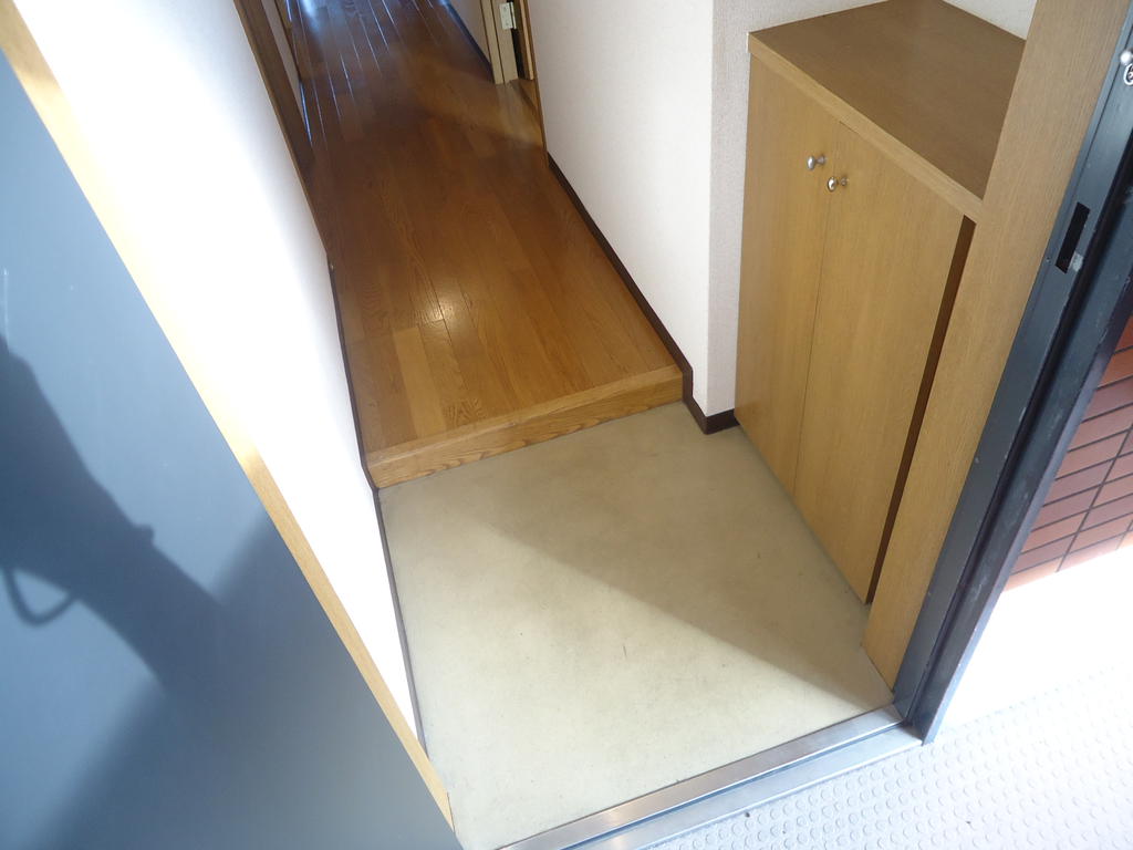 Entrance. Shoe box