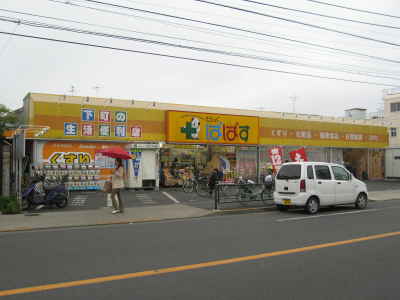 Other. Drugstores