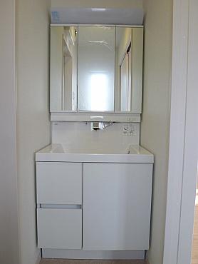 Wash basin, toilet. Vanity (construction cases)