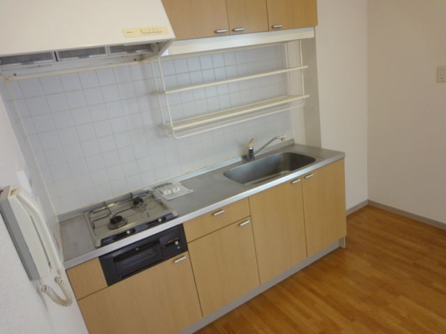 Kitchen. Two-burner stove in the kitchen