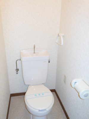Toilet. Toilet