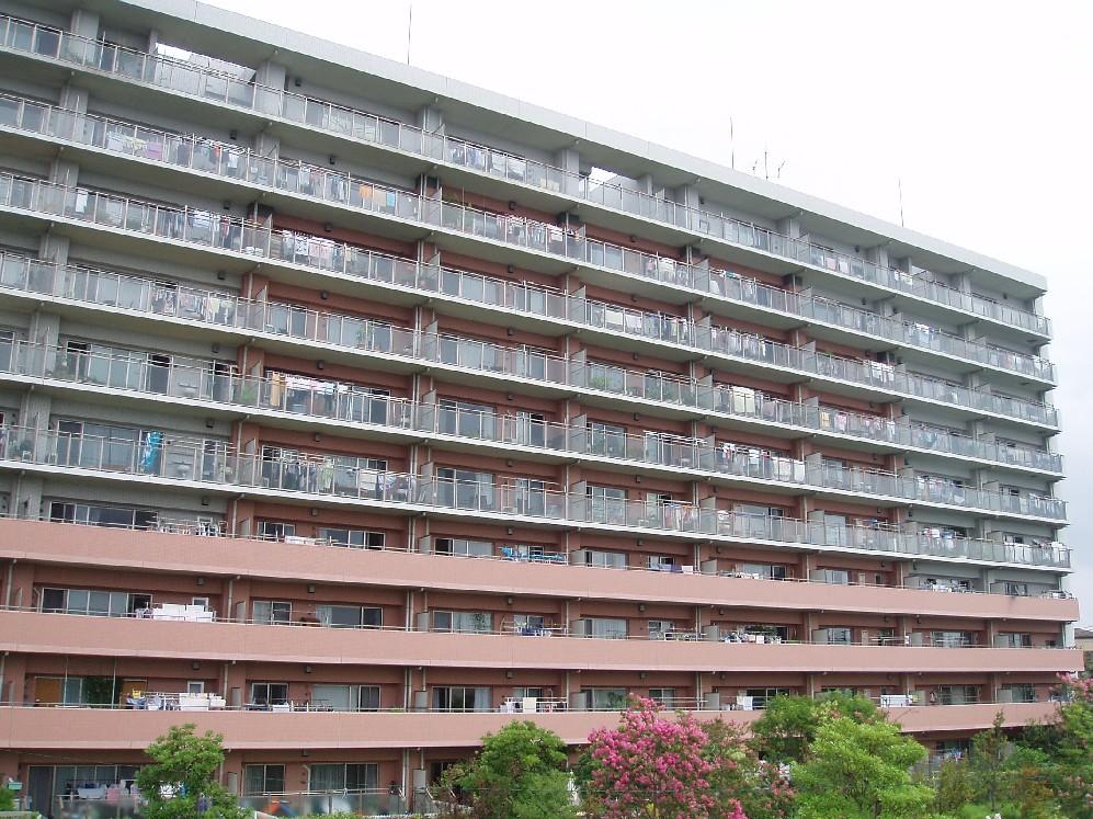 Local appearance photo. Local (September 2013) Shooting