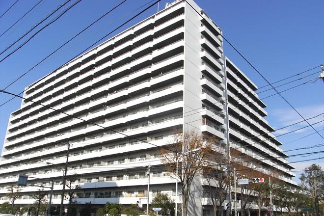 Local appearance photo. Local (August 2013) Shooting