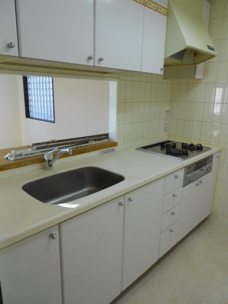 Kitchen. Popular face-to-face kitchen