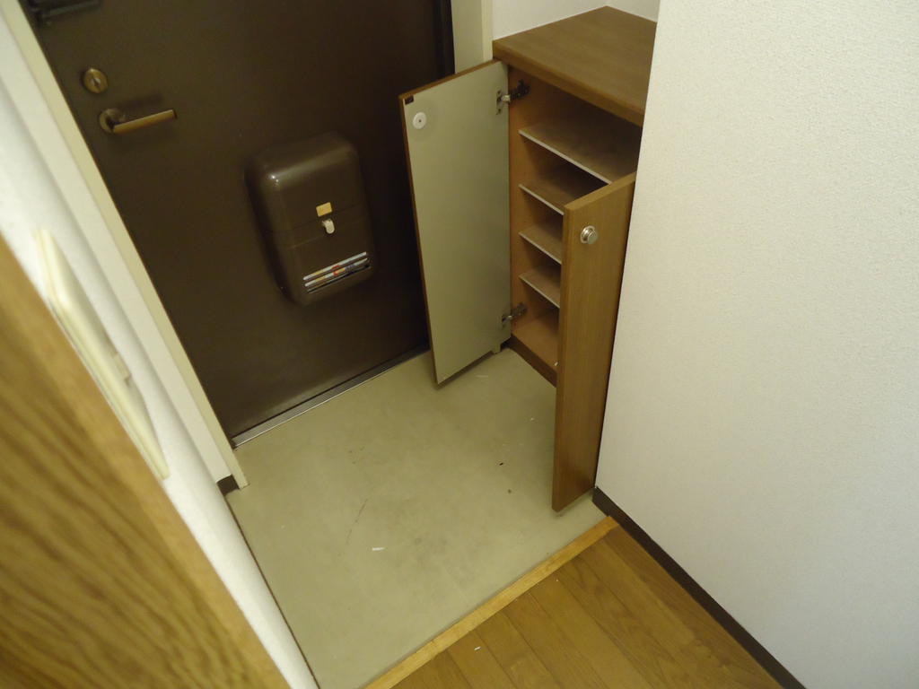 Entrance. Shoe box