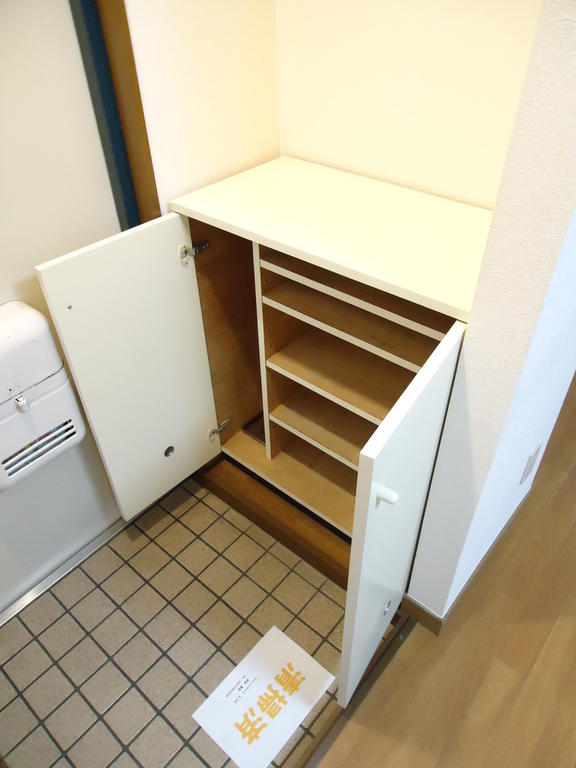 Entrance. Shoe box
