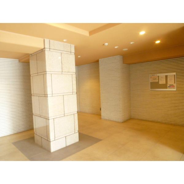 Other introspection. Entrance hall