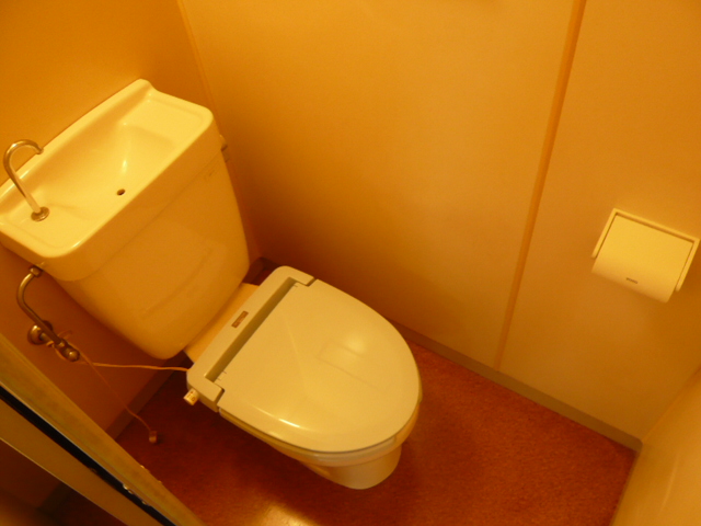 Toilet