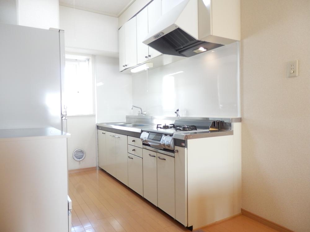 Kitchen. Bright light is plugged into the kitchen Indoor (10 May 2013) Shooting