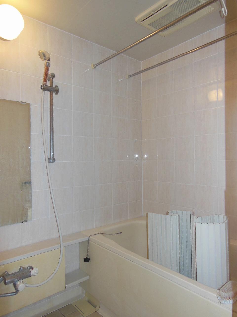 Bathroom. Indoor (12 May 2013) Shooting