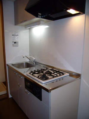 Kitchen. Gas two-burner kitchen is equipped with grill!