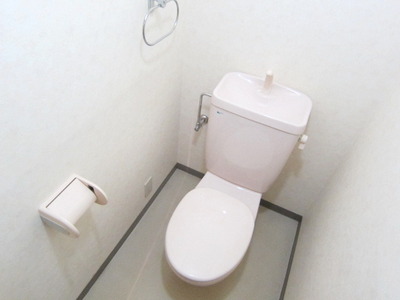 Toilet. Toilet