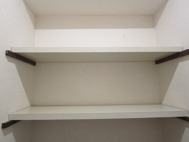 Other. There is also a shelf in the toilet top