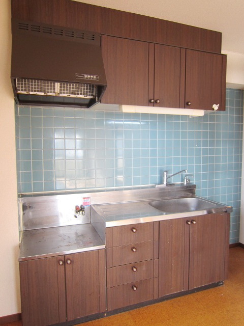 Kitchen. Pat storage. Two-burner stove installation Allowed city gas specifications