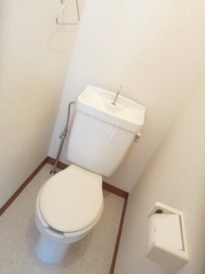 Toilet. Toilet