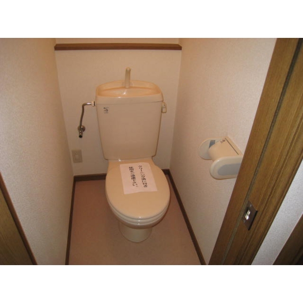 Toilet. Photo is a thing of another room. 