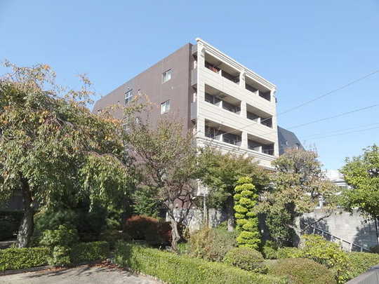 Local appearance photo