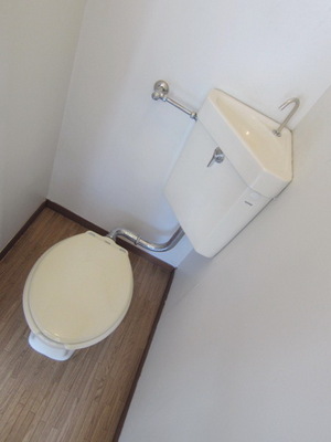 Toilet. Toilet