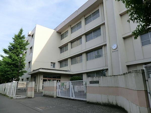 Primary school. Sumiyoshi 700m up to elementary school