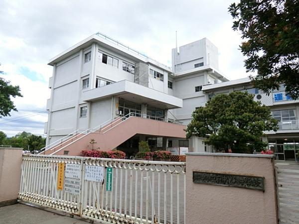 Junior high school. 1800m until the eighth Junior High School