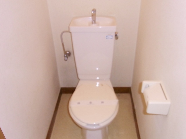 Toilet. Western-style toilet