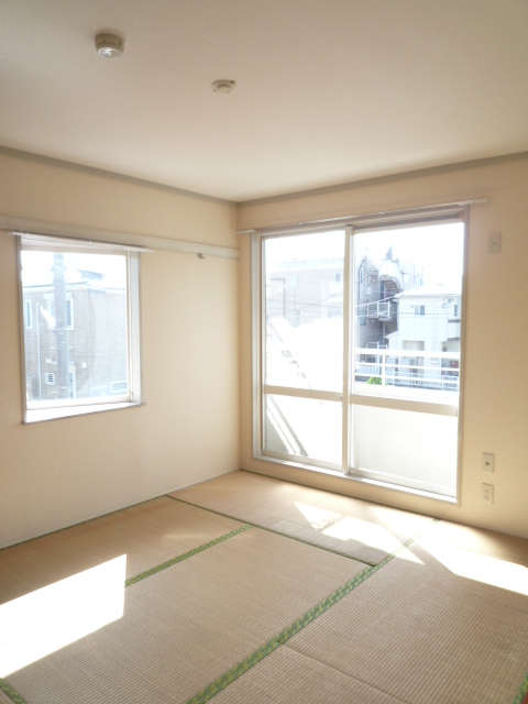 Other room space. Two-sided lighting Japanese-style room