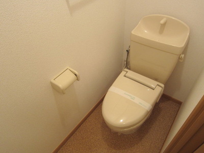 Toilet. It is a beautiful toilet