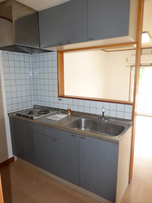 Kitchen. Two-burner stove can be installed