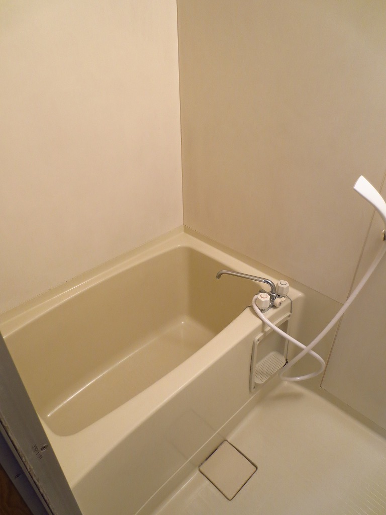 Bath. Spacious bathtub