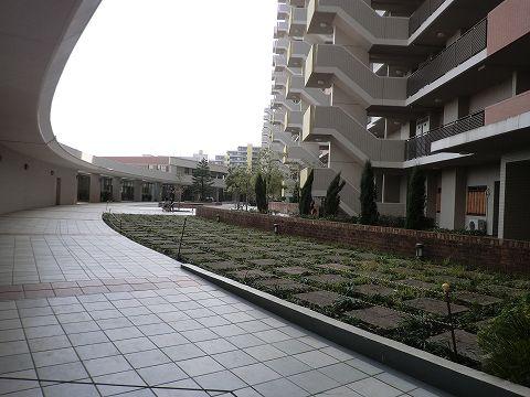 Local appearance photo. Local (September 2013) Shooting