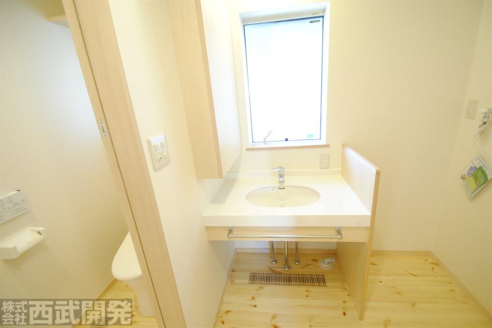 Wash basin, toilet. Bathroom vanity