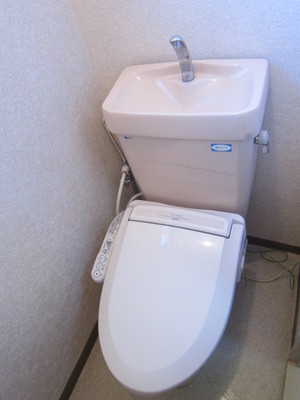 Toilet. It is a comfortable toilet with bidet