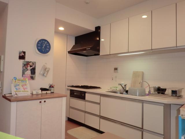 Kitchen. Indoor (12 May 2013) Shooting