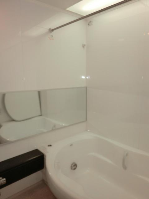 Bathroom. Indoor (12 May 2013) Shooting