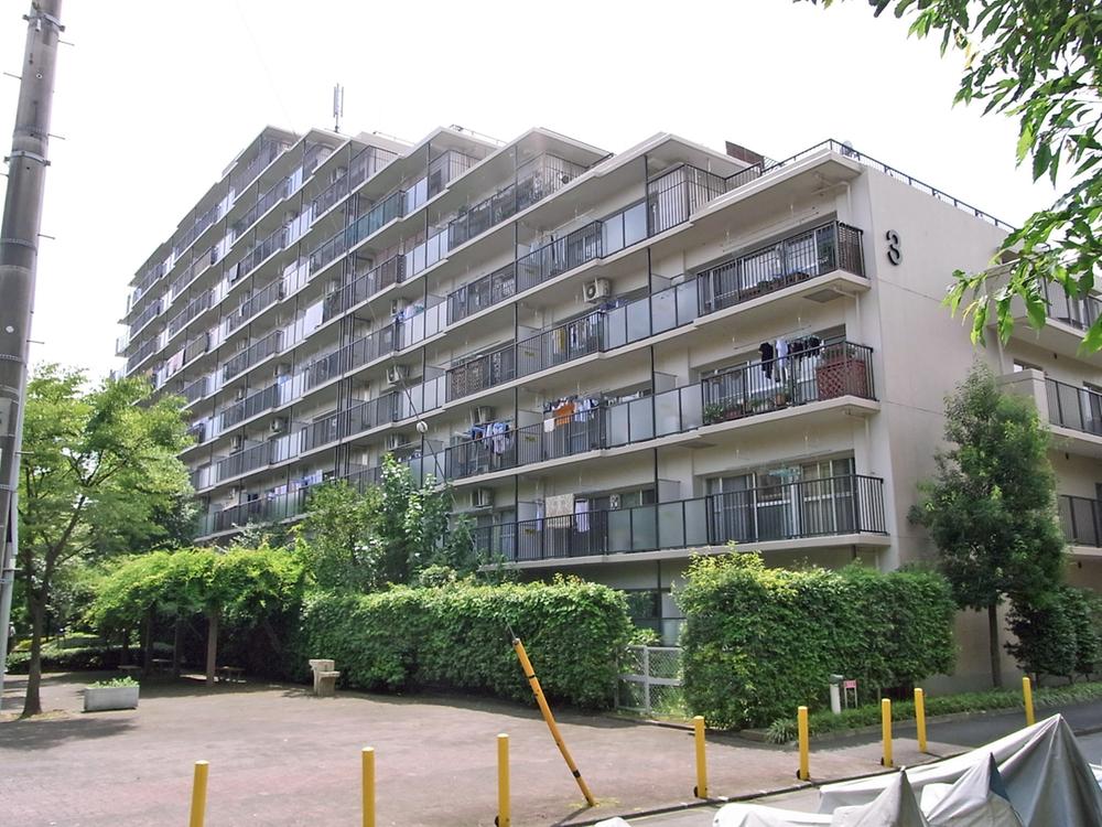 Local appearance photo. Local (11 May 2013) Shooting