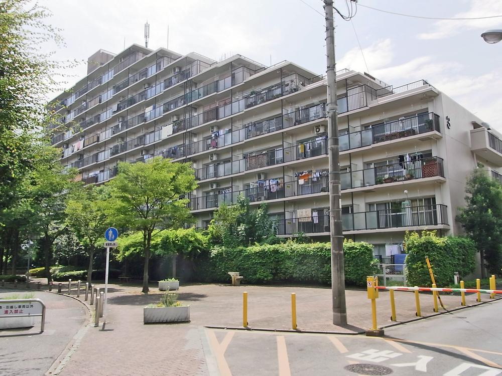 Local appearance photo. Local (11 May 2013) Shooting