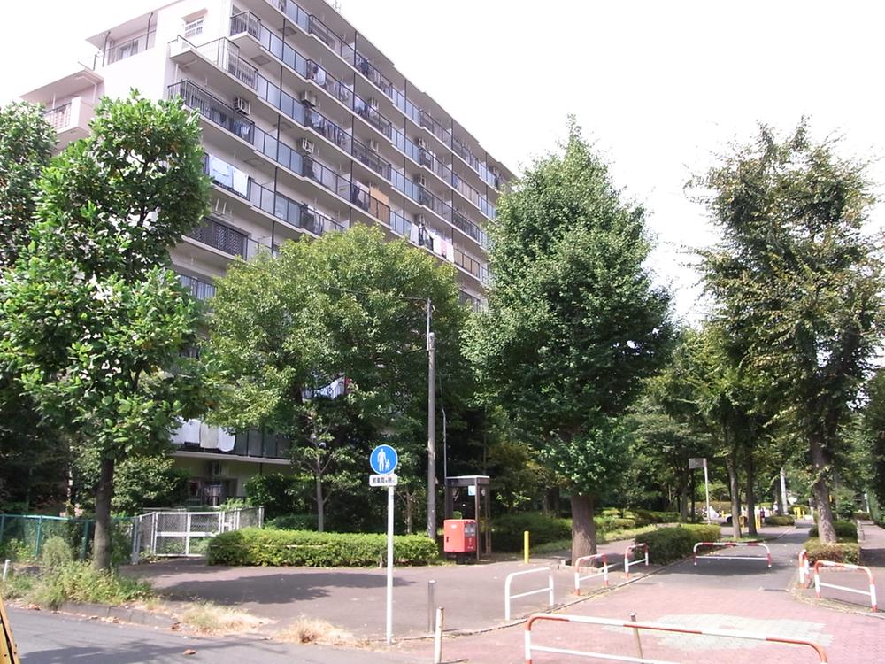 Local appearance photo. Local (11 May 2013) Shooting