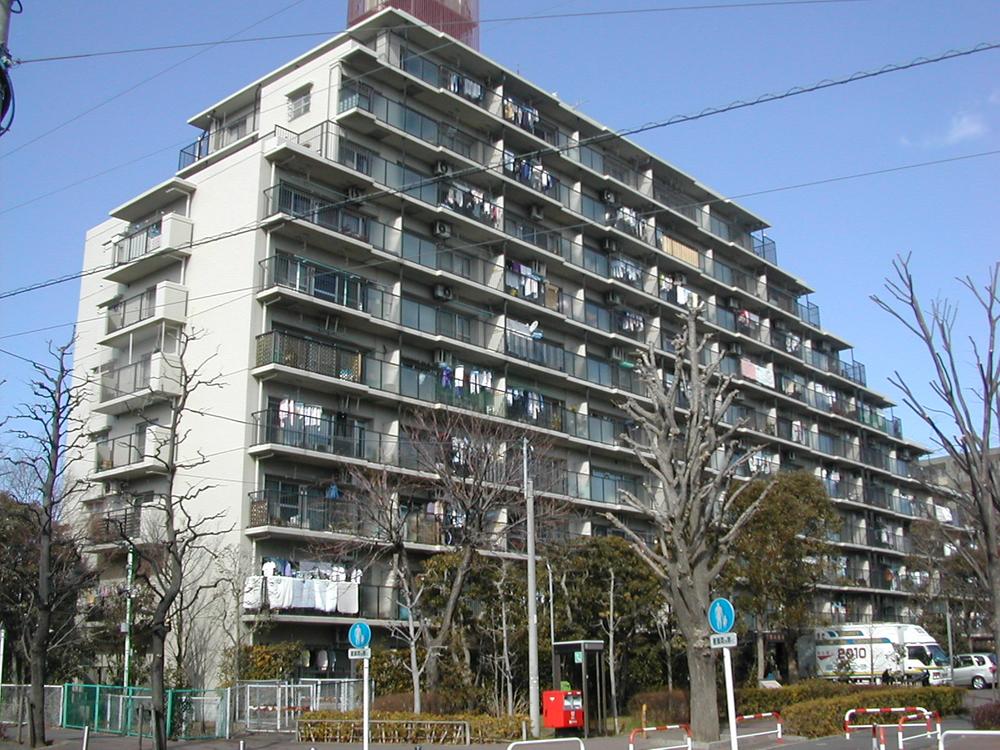 Local appearance photo. Local (11 May 2013) Shooting