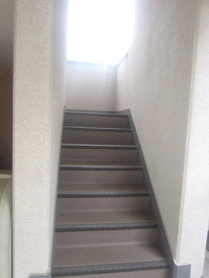 Entrance. It is a staircase leading to the room
