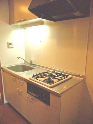 Kitchen. Two-burner gas stove with grill