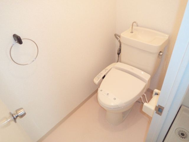 Toilet. There is also shoe box