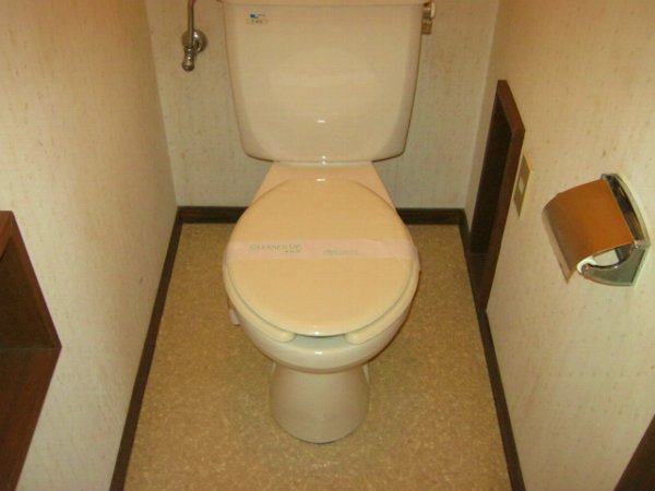 Toilet